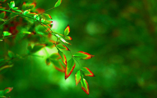 826798 (a): :1920x1200